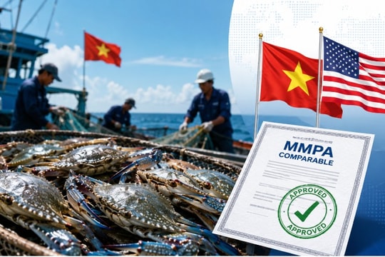 Doanh nghiệp ngành ghẹ Việt rộng cửa trở lại thị trường Mỹ