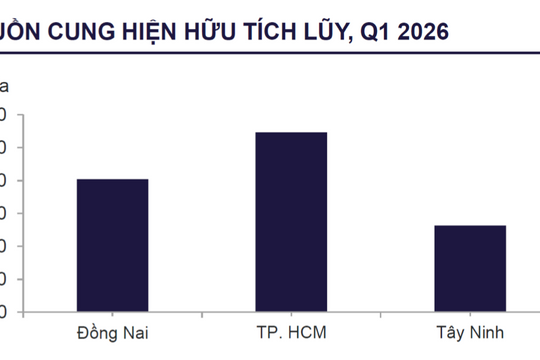 Bất động sản công nghiệp phía Nam vào giai đoạn ổn định