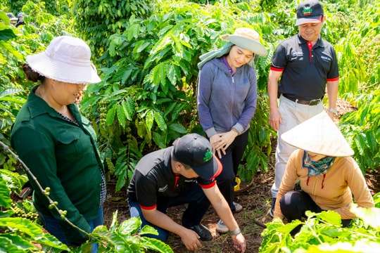 Nestlé Việt Nam lọt Top 10 Doanh nghiệp FDI tiêu biểu" tại hạng mục phát triển Chuỗi giá trị Nông nghiệp bền vững