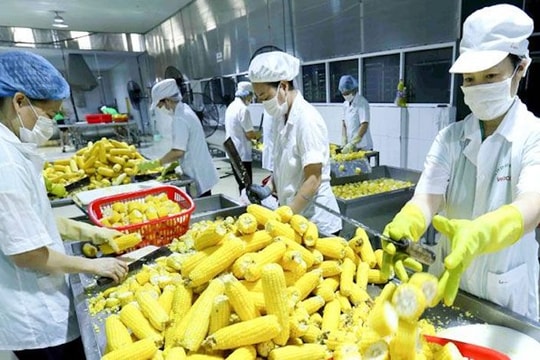 Doanh nghiệp “chạy đua” trước quy định mới của Trung Quốc