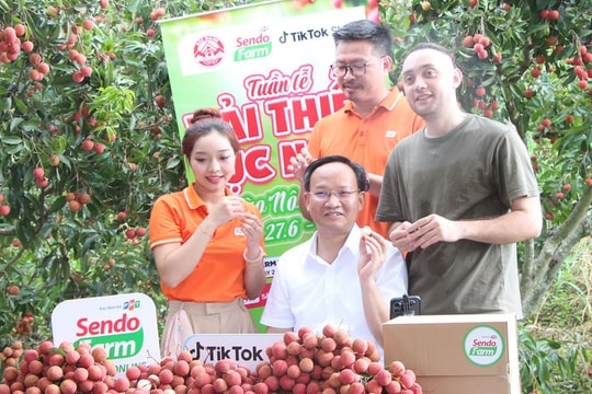 Thương mại điện tử phá bỏ hiệu ứng “tàng hình” trên không gian số