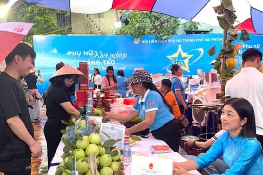 Hải Phòng: Hoàn thiện cơ chế chính sách, cải thiện môi trường đầu tư hỗ trợ phụ nữ khởi nghiệp