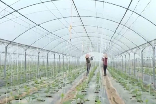 Khơi dậy luồng sinh khí mới cho nông nghiệp từ đòn bẩy công nghệ cao