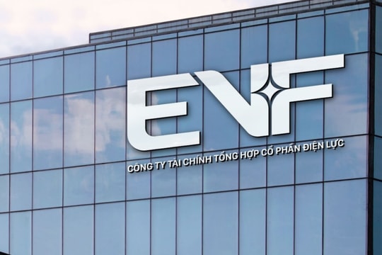 Kiện toàn nhân sự cấp cao – EVF củng cố 4 trụ cột quan trọng trên hành trình tỷ USD