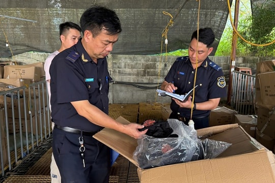 Ngăn chặn 24.930 sản phẩm nghi vi phạm SHTT tại cửa khẩu quốc tế Tà Lùng