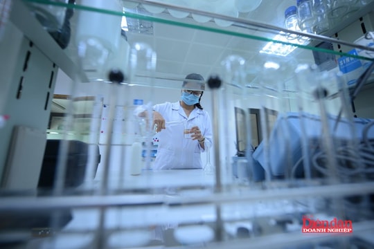 Mở đường cho hệ sinh thái trung gian công nghệ