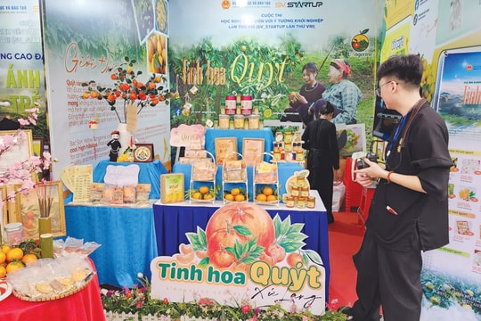 Nhận diện tổ chức trung gian TTO