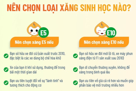Chọn đổ xăng sinh học E10 hay E5?