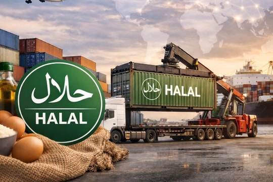 Khoảng trống logistics Halal