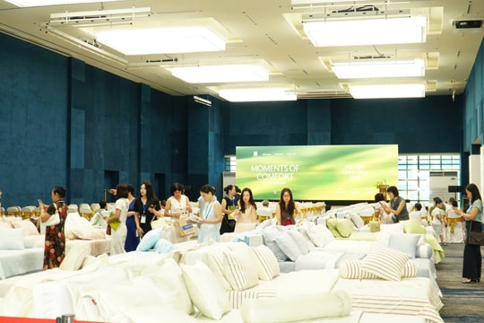 Everon chuyển mình thành thương hiệu “wellness living”