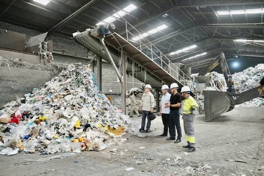 Quảng Ninh: Kiên quyết xử lý các "điểm nóng" môi trường