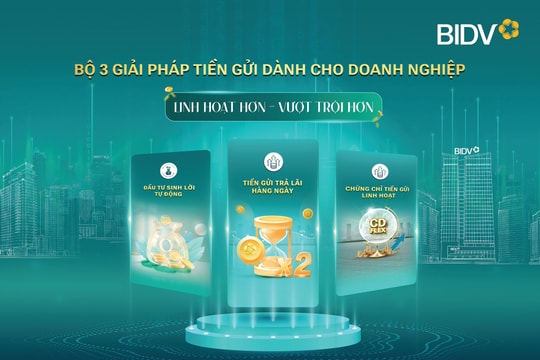 BIDV cung cấp các giải pháp tiền gửi vượt trội cho doanh nghiệp