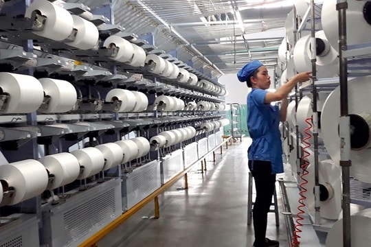 STK “mắc kẹt” giữa giá nguyên liệu tăng và nhu cầu suy giảm