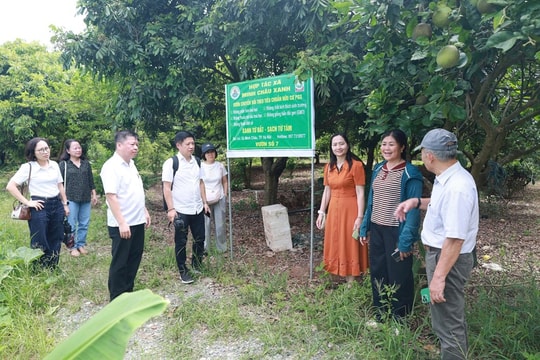 Minh Châu tìm hướng đánh thức tiềm năng du lịch sinh thái giữa sông Hồng