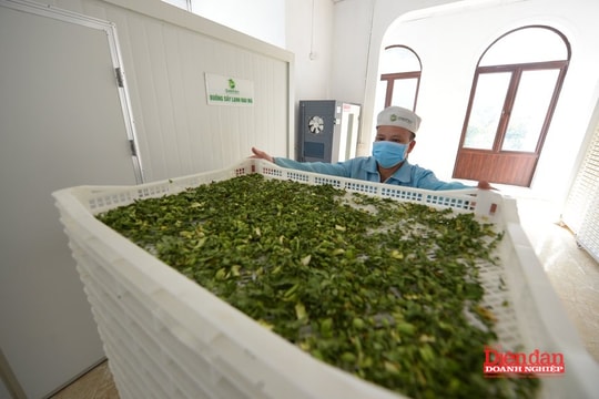 VCCI góp ý cơ chế phân loại rủi ro hàng hóa nông nghiệp, môi trường