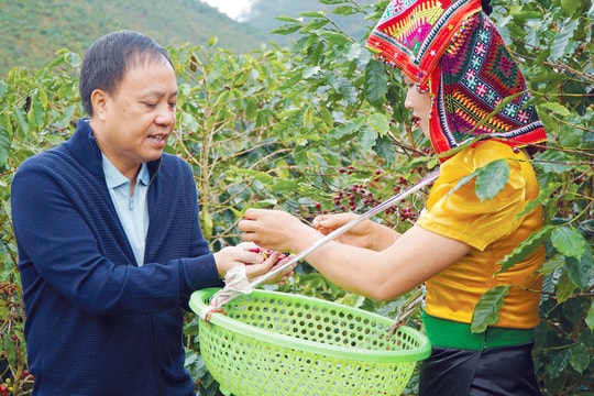 Làm chủ giá hàng hóa và dòng tiền toàn cầu