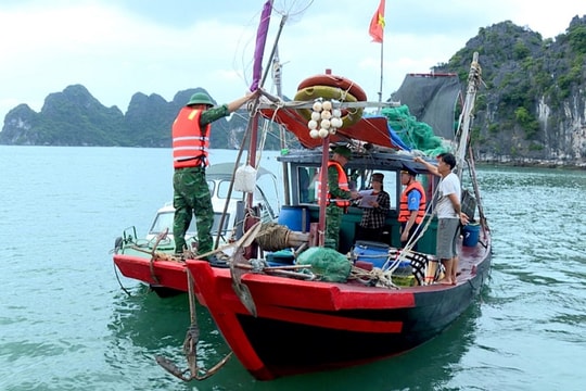 Xử lý nghiêm tàu cá neo đậu sai quy định