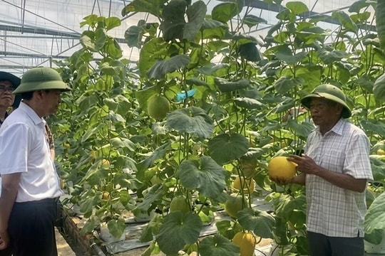 Hải Phòng: Bứt phá nông nghiệp từ không gian số