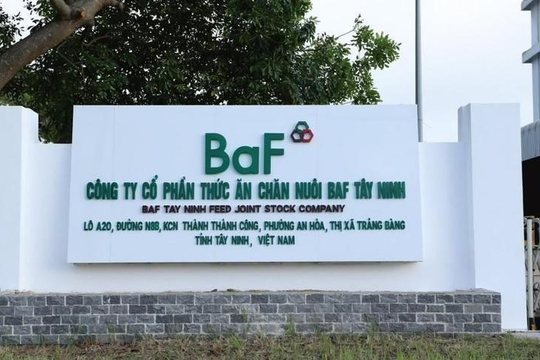 “Cơn lốc” mở rộng quy mô khiến BAF Việt Nam đối mặt với rủi ro từ đòn bẩy tài chính?