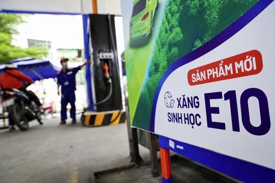 Dòng xe nào cần lưu ý khi dùng xăng E10?