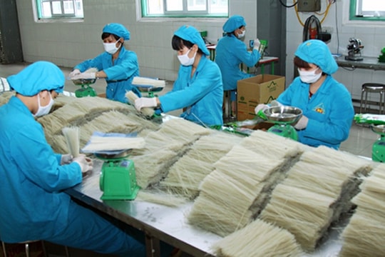 Doanh nghiệp siêu nhỏ và bài toán chi phí tuân thủ