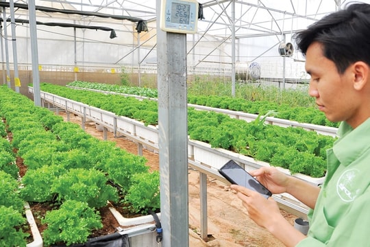 Thẩm thấu vào các ngành, kinh tế số tạo tăng trưởng đột phá