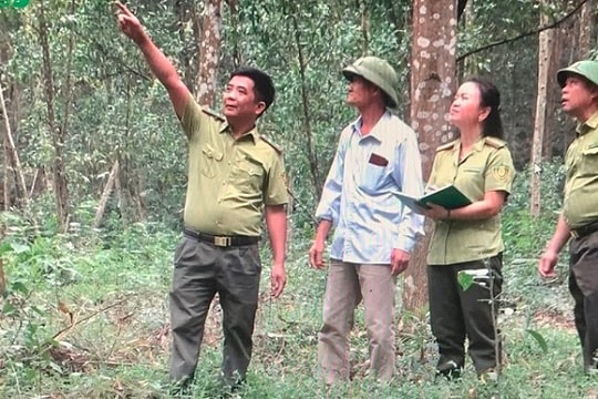Kiểm lâm Thái Nguyên - Để rừng mãi là “vàng”