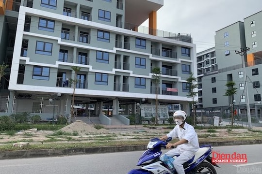 Chính phủ thúc đẩy phát triển nhà ở cho thuê