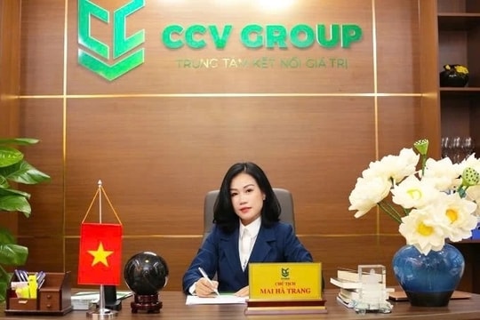 Vụ CCV Group: Khi những cánh đồng rau má gánh kỳ vọng nghìn tỷ