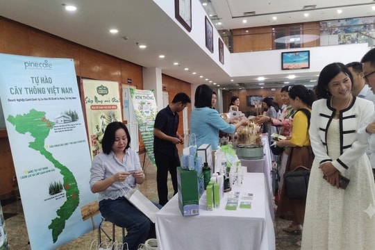 Xây dựng hệ sinh thái bền vững để thúc đẩy kinh tế tư nhân phát triển