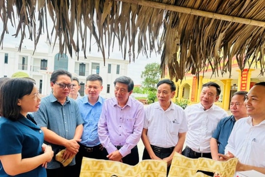 Hải Phòng: Xúc tiến thương mại lúa Rươi hữu cơ - Tôn vinh giá trị nông nghiệp sinh thái