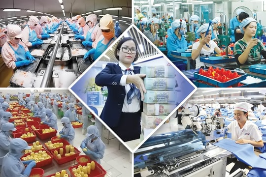 Hỗ trợ Trang Chủ Nhà Cái Good88.com tư nhân chuyển từ dàn trải sang chọn lọc