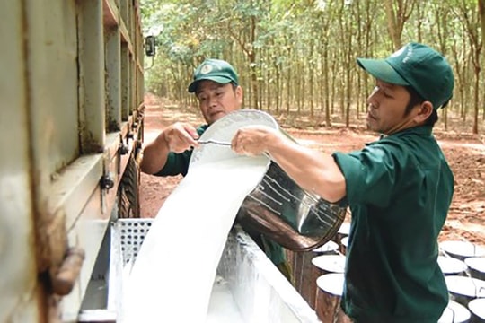 Động lực kép cho GVR