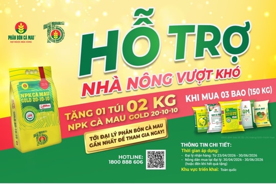 Từ những túi NPK Cà Mau trao tay đến niềm tin được lan toả