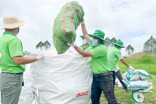 Syngenta Việt Nam tiếp tục triển khai Chương trình “Môi trường sạch – Cuộc sống xanh”
