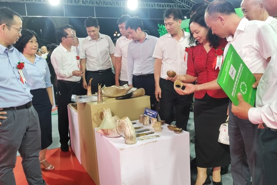Thúc đẩy tiêu thụ sản phẩm công nghiệp nông thôn theo hướng xanh và bền vững