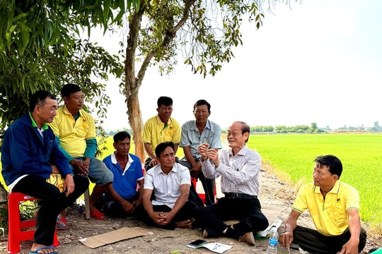 Từ vùng đất phèn đến mùa vàng 7 tấn lúa/ha