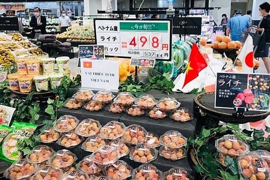 Cơ hội mới để doanh nghiệp Việt tiếp cận công nghệ Nhật Bản