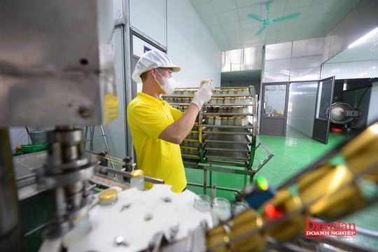 VCCI góp ý nhiều chính sách hỗ trợ doanh nghiệp nhỏ và vừa