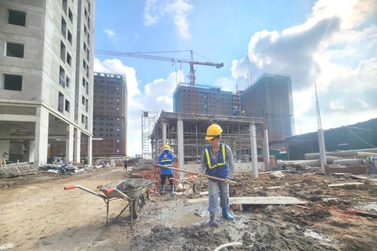 Hải Phòng kiến tạo quỹ đất nhà ở cho thuê để giữ chân Good88.vina Tỷ lệ kèo tốt