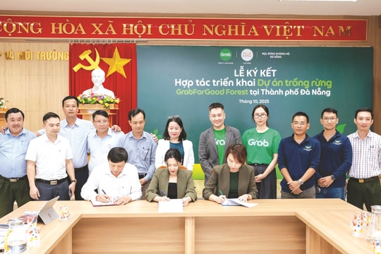 Ban Quản lý rừng phòng hộ Đà Nẵng: Gìn giữ hệ sinh thái xanh cho phát triển bền vững