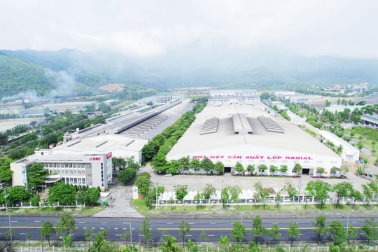 Công ty CP Cao su Đà Nẵng: Hơn nửa thế kỷ bền bỉ đóng góp cho kinh tế thành phố