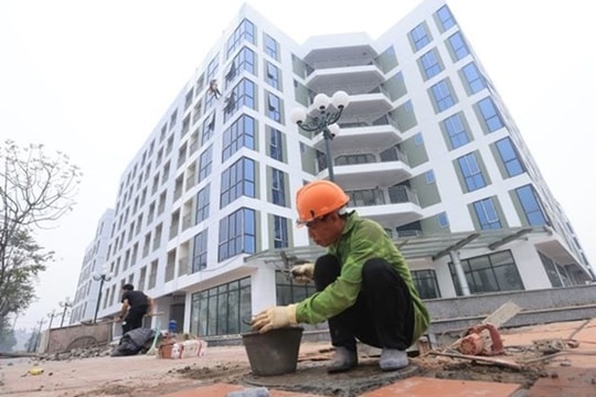 Phát triển nhà ở cho thuê có giúp giảm giá nhà?