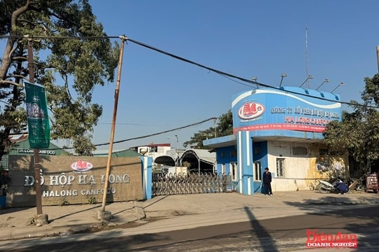 Đồ hộp Hạ Long tái khởi động nhà máy Hải Phòng sau biến cố