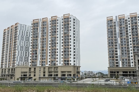 Quảng Ninh: Tăng tốc thi công loạt dự án nhà ở xã hội quy mô lớn