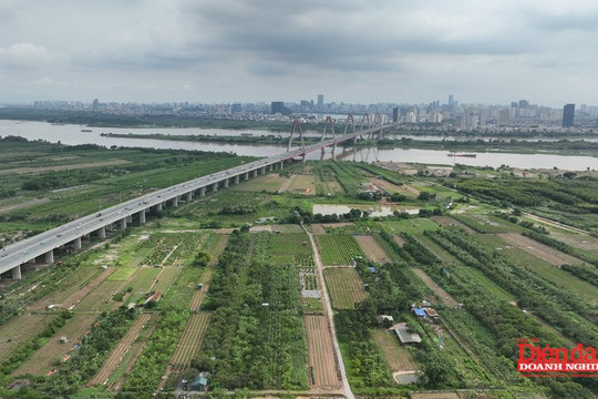 Sửa Luật Đất đai: Gỡ nút thắt thủ tục bằng phân cấp và số hóa