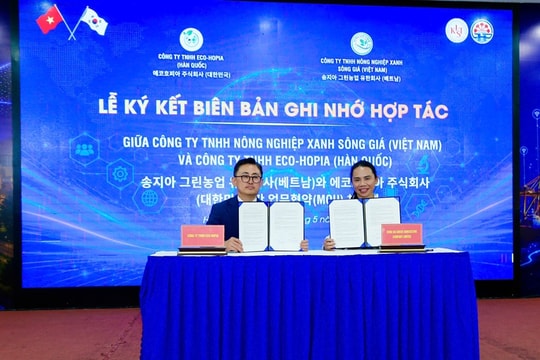 Hải Phòng: Mở rộng hợp tác quốc tế, thúc đẩy khoa học công nghệ phát triển