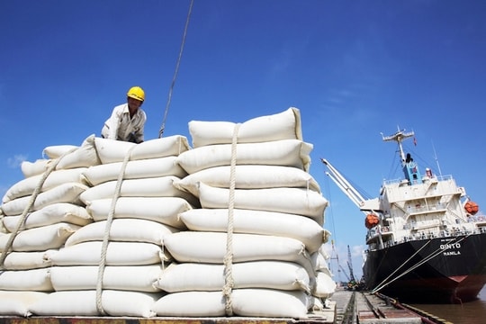 Doanh nghiệp gạo nâng năng lực đáp ứng tiêu chuẩn để khai thác EVFTA