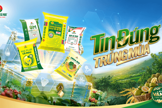 Phân bón Cà Mau khởi động bí kíp vàng: Tín đúng – Trúng mùa