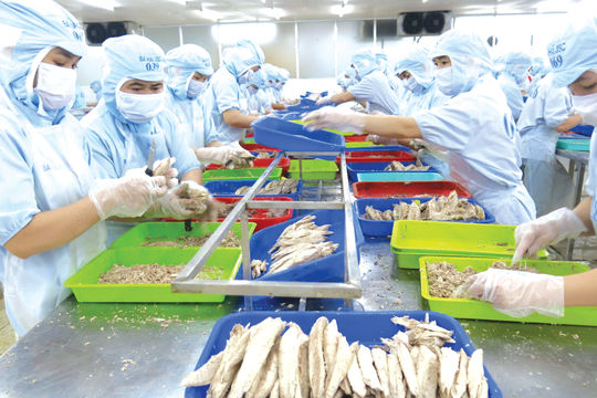 Bá Hải SeaFood: Từ lợi thế biển Việt đến thương hiệu toàn cầu